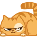 PepestanPersikCatKradetsa Discord Emoji
