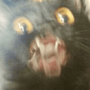 :PepestanBrokenCat3: Discord Emote