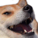 dogekek custom emote | 🐾 Lisia Nora 🐾