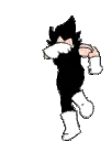 SaiyanDance