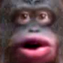 :lemonke: Discord Emote