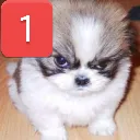 angrymad