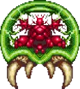 dysMetroid