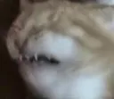 weh