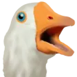 chocotHonk