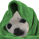 sealComfy
