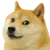 Doge