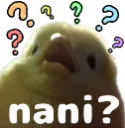 birbnani