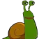feelsnail feelsnail