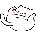 1558_bongoanal