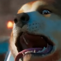 woootimber Discord emoji