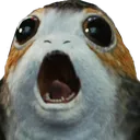 Porg