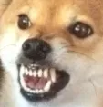 angerBoye angerBoye