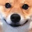 smileBoye