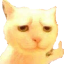 :CAT_FckCat: Discord Emote