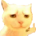 CAT_FckCat Discord Emoji
