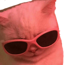 :CAT_CoolCat: Discord Emote