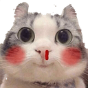 :CAT_BloodOutCat: Discord Emote