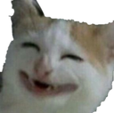 :CAT_SmileCat: Discord Emote