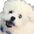 linusdAwg linusdAwg