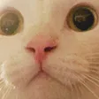 booExcite booExcite