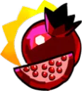 pom pom