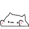 excitedbongocat