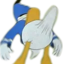 donald donald