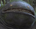 croq Discord emoji