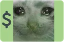 sadcash