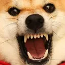 angre angre