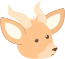 ko