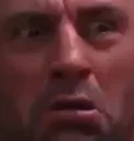 rogan