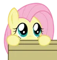 FlutterPeek