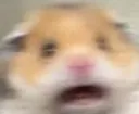ham