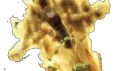 dioBam