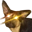 DoggoTriggered