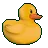 ducky ducky