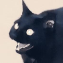 nyaHahAHahahaha Discord emoji