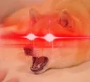 reee