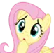 FlutterConfused