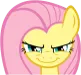 FlutterStare