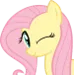 FlutterWink