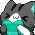 kittehlove kittehlove