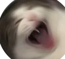 REEEEE REEEEE