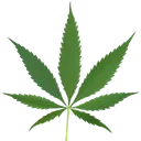 weed