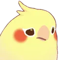 sadbirb