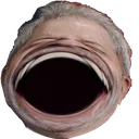 omegahaha