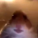 yallgotanycheese