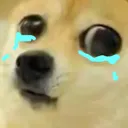 sadDoge